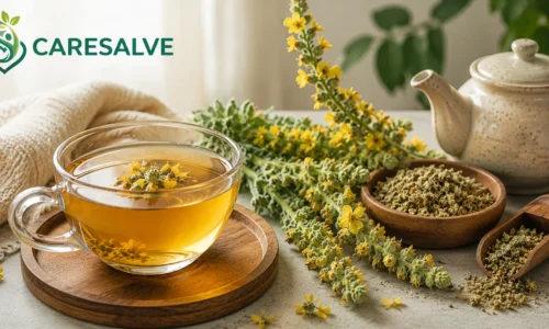 What Is Mullein Tea Good For? Benefits, Uses & Side Effects